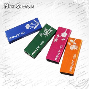 فلش PNY 8GB Clip